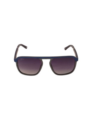 Lunettes solaire en bois teinté bleu et carbone modèle Adam de la Eden collection